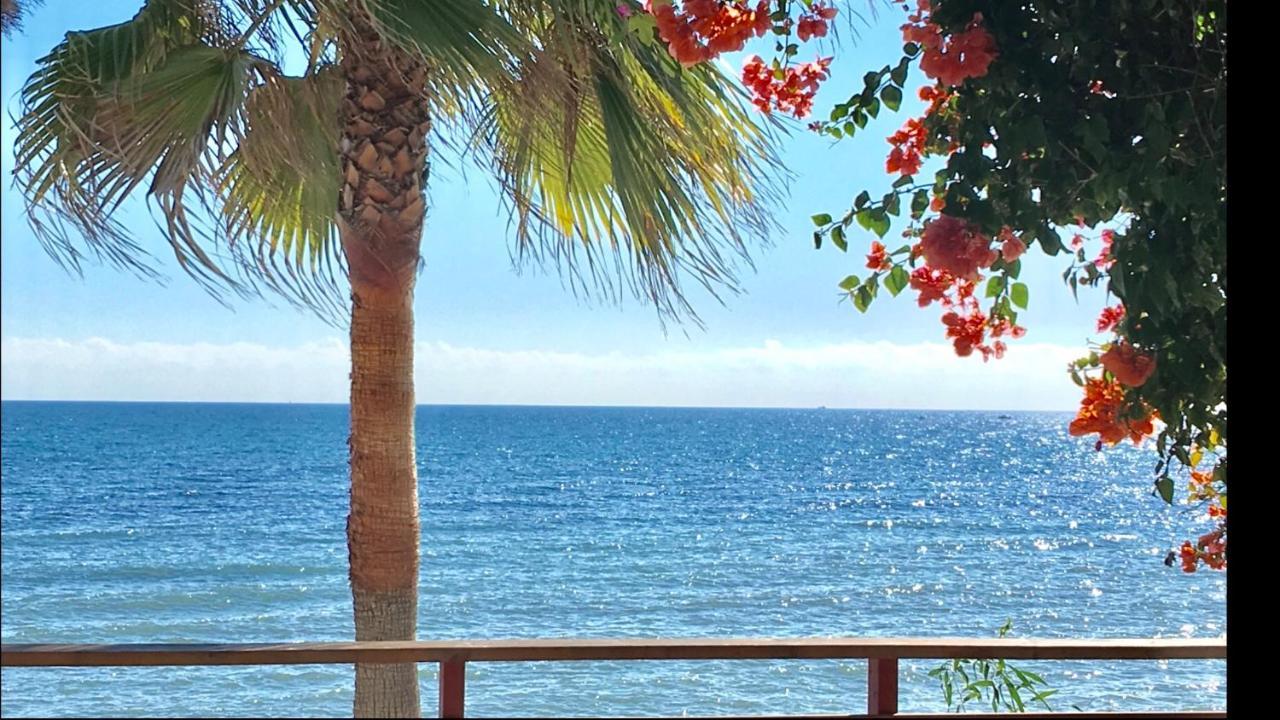 Mi Capricho Beachfront- 3-7 Apartment With Sea Views Sitio de Calahonda Exterior photo